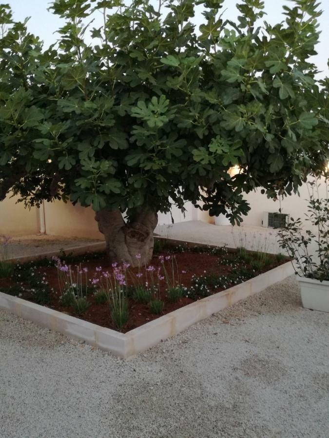 Hotel Tenuta Il Fico Porto Cesareo Exterior foto